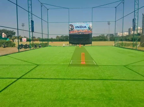 Cricket 1